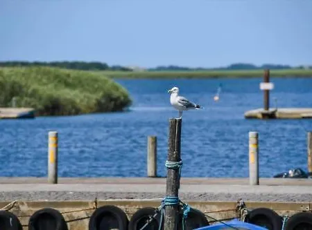 Сasa de vacaciones C11744-hemmet-vagtelvaenget-22 *